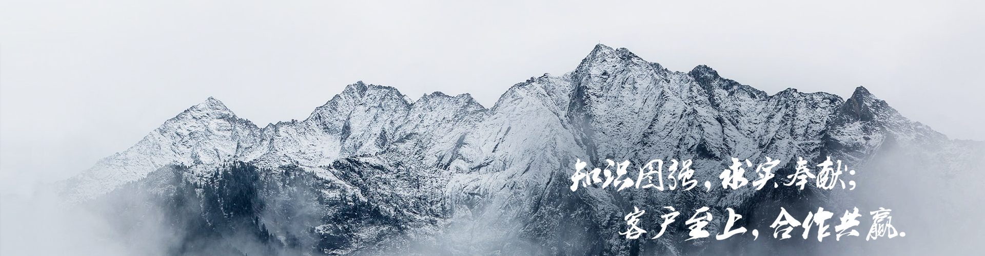 公司简介Banner